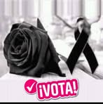 Abel Rocha - Facebook