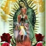 Abel Rocha - Facebook