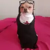 mi Dios es mi pastor nda me fa - @isabelronquillo88 - TikTok