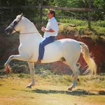 Abel Rossetti - @abelrossetti - Instagram