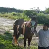 Abel Ruano - @alan8295 - TikTok