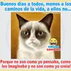 Abelito Ruano Ruano - @abelitoruanoruano - TikTok