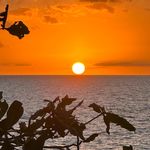 @abel_rubio - Instagram