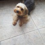 Angel Rubio - @abel._rubio._ - Instagram