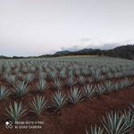 Abel Ruelas - @ruelasabel - Instagram