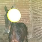 Abel Ruelas Gil - Facebook