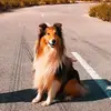 abelrusso_ - @abelrusso_ - TikTok