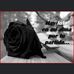 Abel Saenz - Facebook