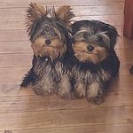 Abel Saez - @abel.saez.372 - Instagram