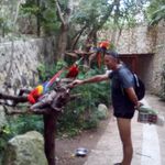 Abel Saiz - @abel.saiz.1 - Instagram