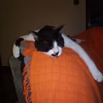 Abel Salgado - @abelwikio - Instagram