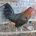 Abel Samano - Facebook