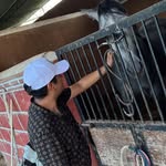 Abel Samano - @abel_samano2.0 - Instagram