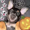 🎃ABEL👻 - @aabelsandoval2013 - TikTok