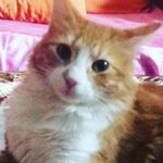 Abel Gusqui Sarmiento - @abel_sarmiento13 - Instagram