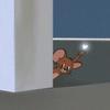 AbelSauceda - @dashafqv7kd - TikTok