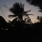 Abel solano - @abel___solano - Instagram