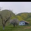 Abel Solorio - @abelsolorio0 - TikTok