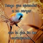 abel solorio navarro - @abelsolorionavarro - Instagram