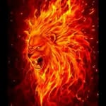 Abel Sousa - @abelsousa497 - Instagram