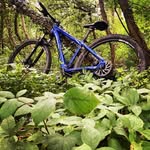 @abel_spencer75 - Instagram
