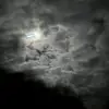 annabelstrange - @annabelstrange - TikTok