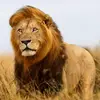 Abel Tadeo - @abel.tadeo1 - TikTok