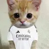 Abel tadeo Vidrio - @abel.tadeo.vidrio - TikTok