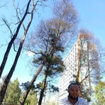 Abel Tafesse - Facebook
