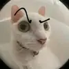 huevitoconpan:) - @abeltarango.marti - TikTok