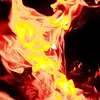 Abel Taye 🤙 - @abel.taye38 - TikTok