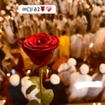 Abel tilahun - @tilahun363 - Instagram