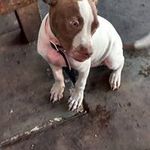 Jose Abel Urias Lopez - @joseabeluriaslopez - Instagram