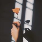 Abel Varghese - @_.a.b_e.l._ - Instagram