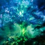 Abel Varghese - @abel_varghese_ - Instagram