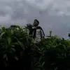Abel Varghese - @abelvarghese2 - TikTok