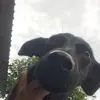 abelvenegas876 - @abel.venegas8 - TikTok