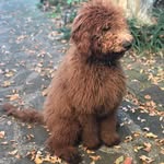 Abel Zavala - @aazavala05 - Instagram