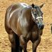 Abel Zertuche - Facebook