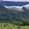 Abelardo Zertuche castelar - @abelardo.zertuche - TikTok