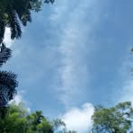 Abelardo Acosta - Facebook