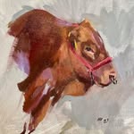 Abelardo Alberto Stringel Cavazos - @abelardo_stringel - Instagram