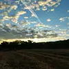 Abelardo Alfaro - @abelardo.alfaro8 - TikTok