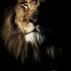 Abelardo Almendarez - @abelardoalmendarez - TikTok