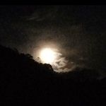 Abelardo Amaya - @abelardo6420 - Instagram