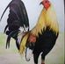 Abelardo Amaya - Facebook