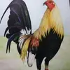 Abelardo Amaya - @abelardo.amaya - TikTok