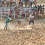 Abelardo Amaya Traslaviña - @amayatraslavina - Instagram