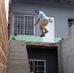 Abelardo Arenas - Facebook