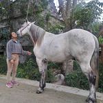 Abelardo Arroyo - @abelardo.arroyo.7967 - Instagram